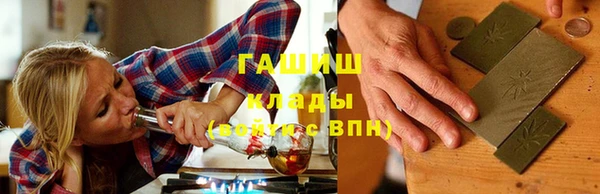 индика Бронницы