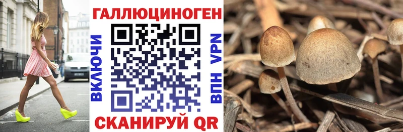 Галлюциногенные грибы прущие грибы Тверь