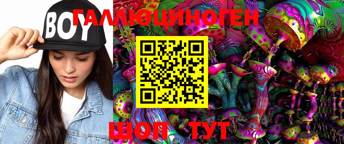 Псилоцибиновые грибы Psilocybine cubensis Тверь