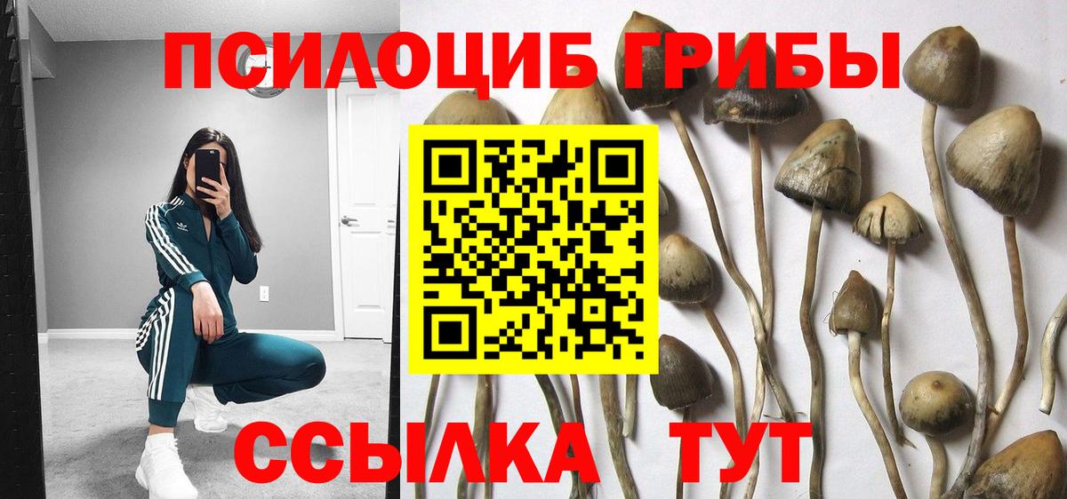 Тверь  Галлюциногенные грибы MAGIC MUSHROOMS  Вход с VPN 