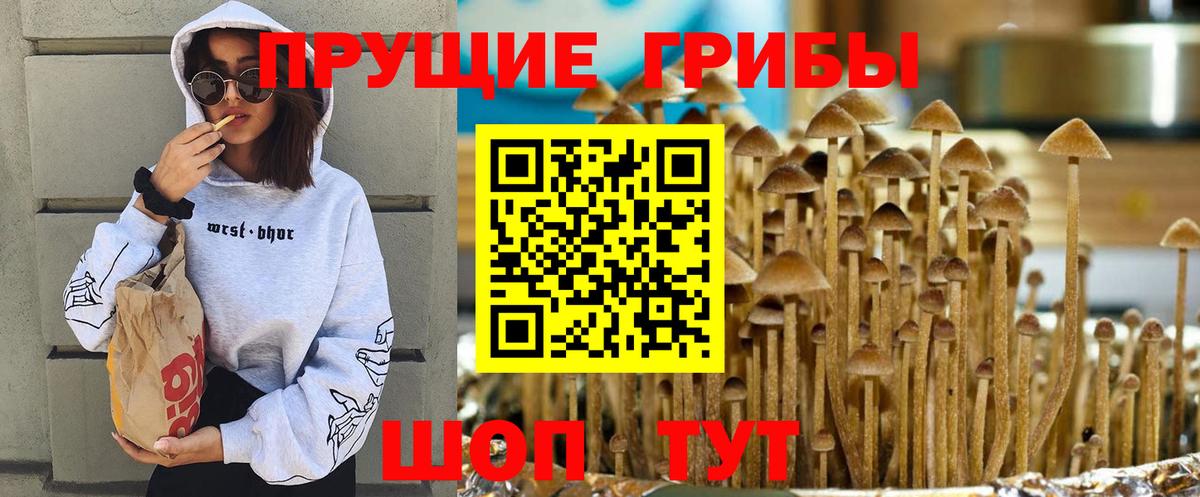 ГАШИШ  Тверь  Купить наркотик  Марихуана  Каннабис  Мефедрон   Вход с VPN 